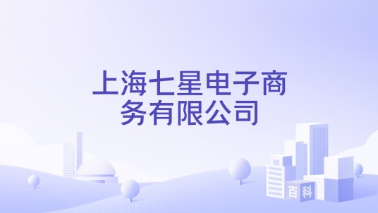 上海七星电子商务有限公司