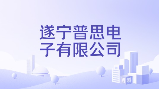 遂宁普思电子有限公司