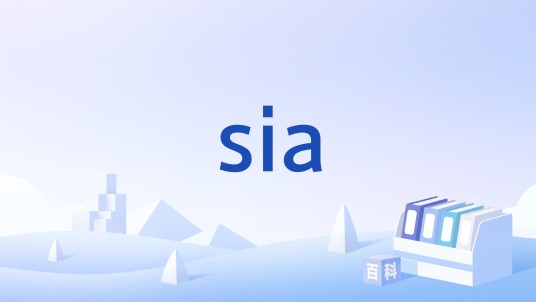 sia(计算机网络术语)