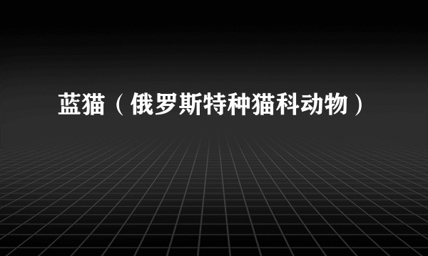 蓝猫（俄罗斯特种猫科动物）