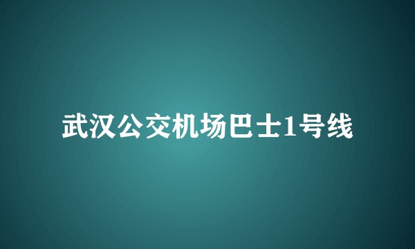 武汉公交机场巴士1号线