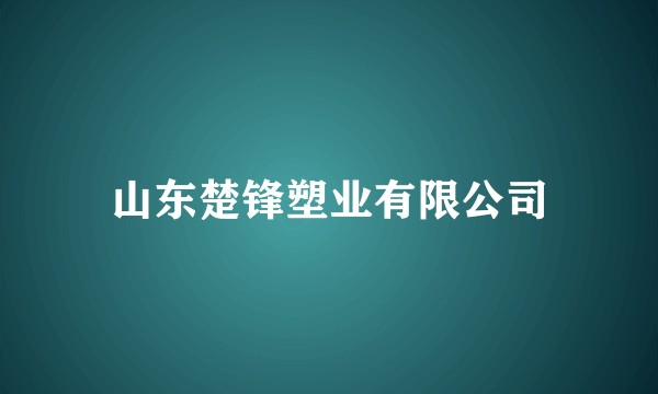 山东楚锋塑业有限公司