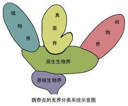 生物界