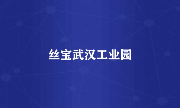 丝宝武汉工业园