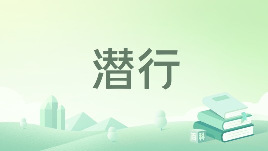 潜行(初六创作的都市类网络小说)