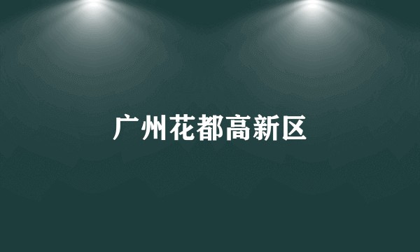 广州花都高新区