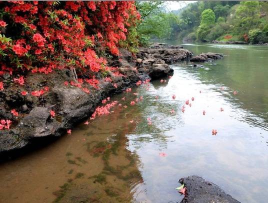 落花有意，流水无情