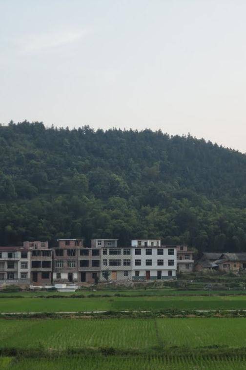 柏木乡