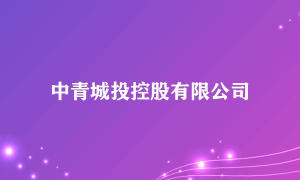 中青城投控股有限公司