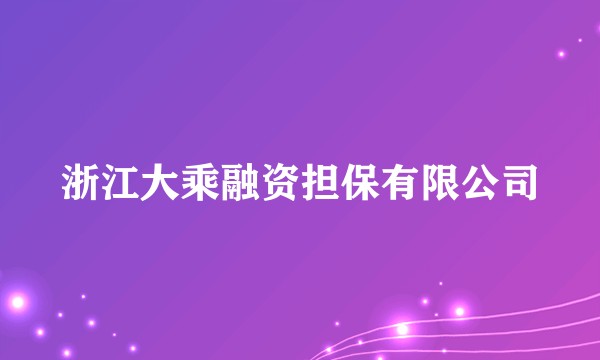浙江大乘融资担保有限公司