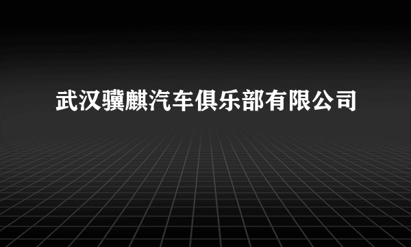 武汉骥麒汽车俱乐部有限公司