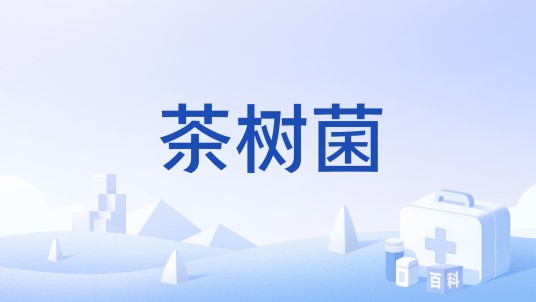 茶树菌