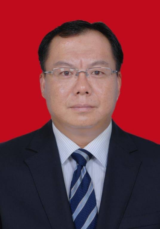 王力（云南省玉溪市委原书记）
