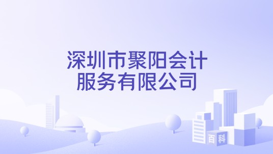 深圳市聚阳会计服务有限公司