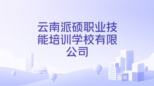 云南派硕职业技能培训学校有限公司