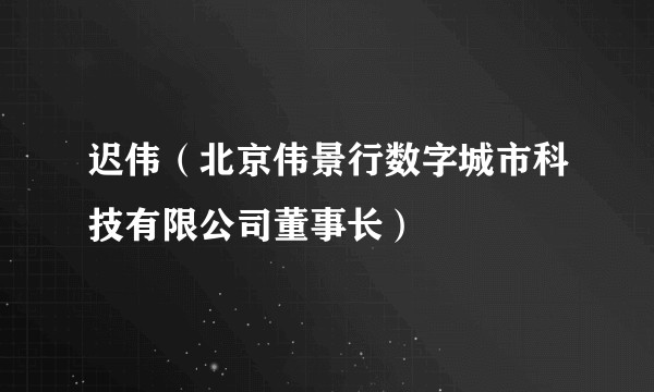 迟伟（北京伟景行数字城市科技有限公司董事长）