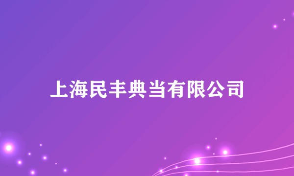 上海民丰典当有限公司