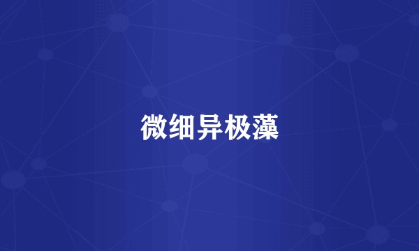 微细异极藻