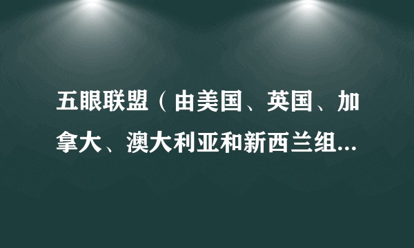 五眼联盟（由美国、英国、加拿大、澳大利亚和新西兰组成的情报共享联盟）