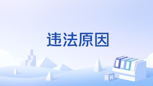 违法原因