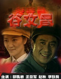 谷文昌（2009年郭凯敏主演的电视剧）