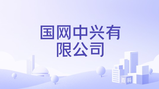 国网中兴有限公司
