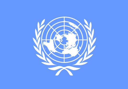 联合国（政府间国际组织）
