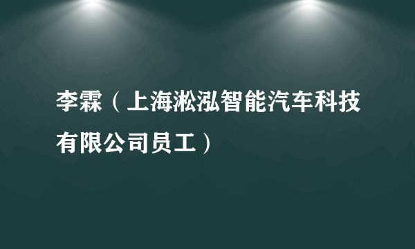 李霖（上海淞泓智能汽车科技有限公司员工）