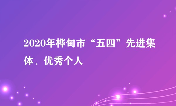 2020年桦甸市“五四”先进集体、优秀个人
