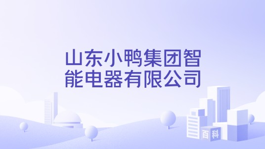 山东小鸭集团智能电器有限公司