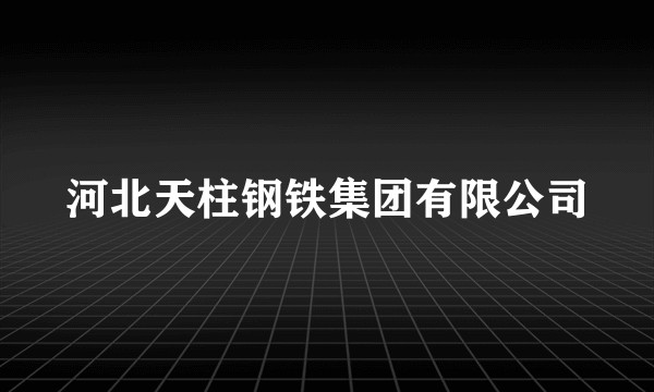 河北天柱钢铁集团有限公司