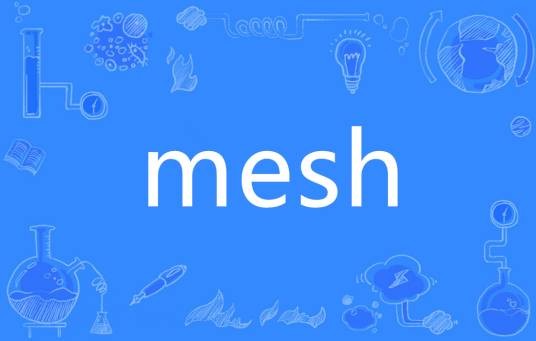 mesh（英语单词）