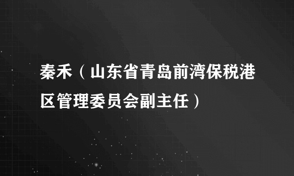 秦禾（山东省青岛前湾保税港区管理委员会副主任）