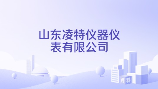山东凌特仪器仪表有限公司