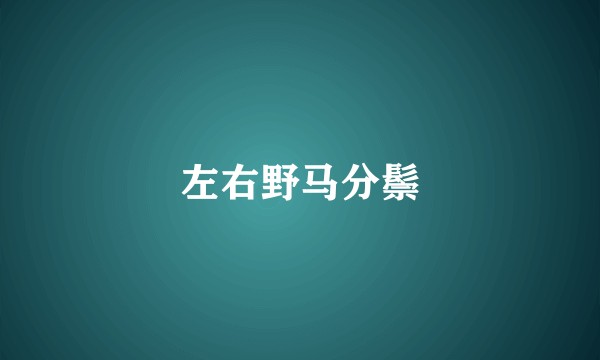 左右野马分鬃