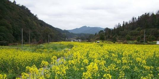 三英村(广东潮安区龙湖镇下辖村)