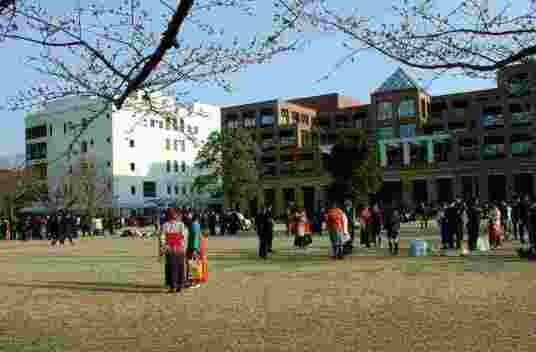 骏河台大学