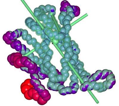 高分子化合物