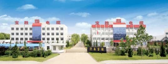 济南宝胜电缆有限公司
