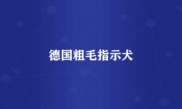 德国粗毛指示犬