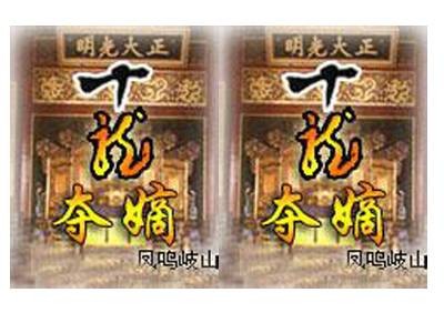 十龙夺嫡（凤鸣岐山创作的网络小说）