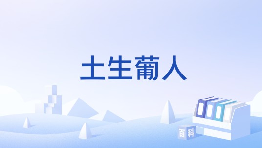 土生葡人