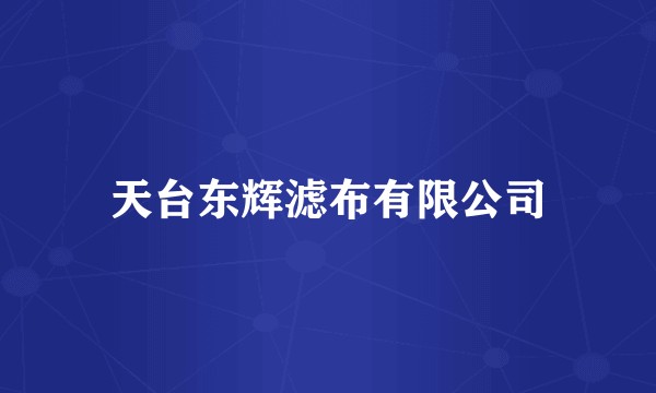 天台东辉滤布有限公司