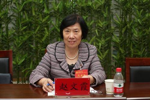 赵文霞(河南中医学院第一附属医院主任医师)