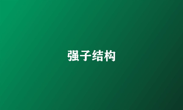 强子结构