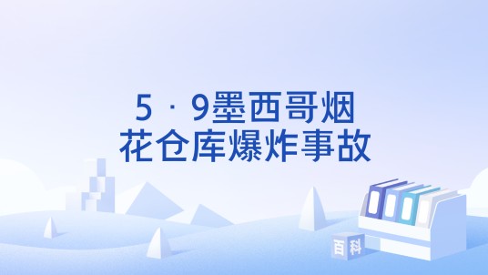 5·9墨西哥烟花仓库爆炸事故