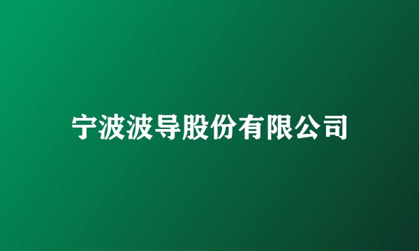 宁波波导股份有限公司
