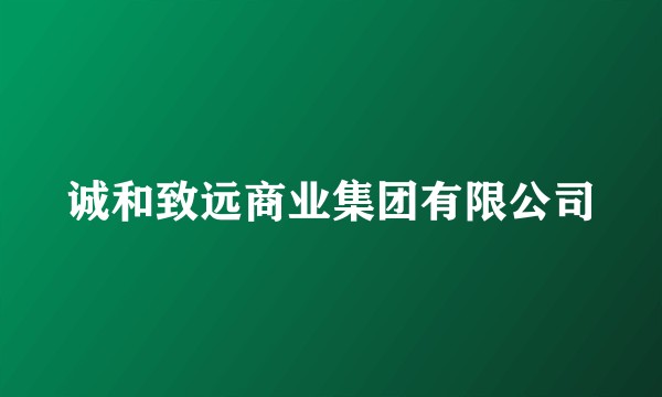 诚和致远商业集团有限公司