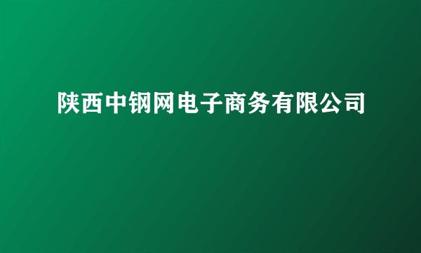 陕西中钢网电子商务有限公司