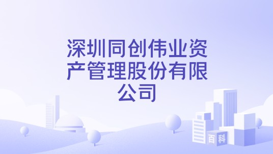 深圳同创伟业资产管理股份有限公司